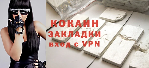 шишки Аркадак