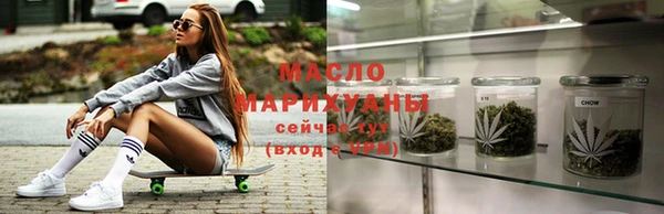 молекула духа Арсеньев
