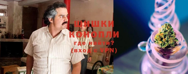 шишки Аркадак