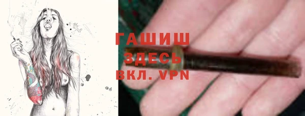 шишки Аркадак