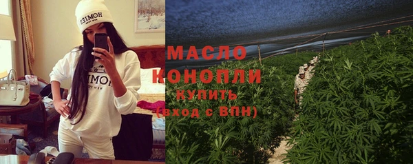 молекула духа Арсеньев