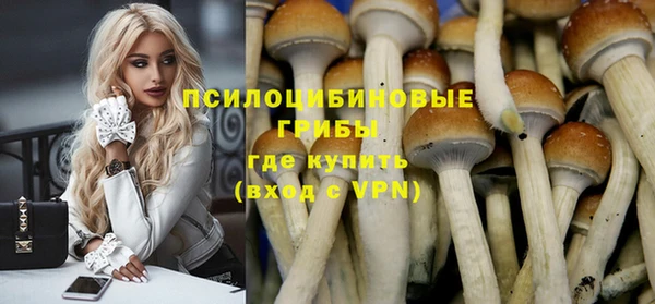 гидропоника Армянск