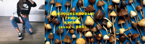 гидропоника Армянск