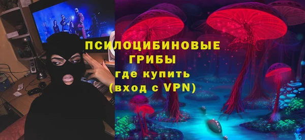 шишки Аркадак